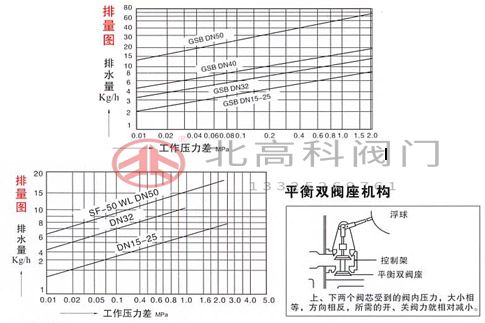 shusf20_2.jpg shusf20_2.jpg