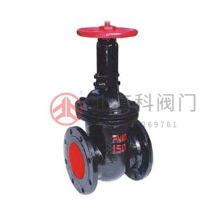 Z44H、Z44Y 型 PN16~PN160 鋼制平行式雙閘板閘閥